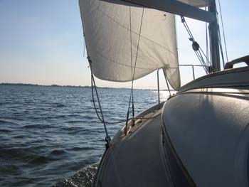 Image 028