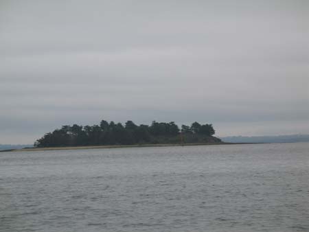 2006_09 (3)