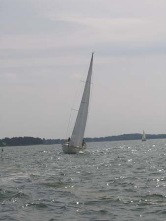 IMG_1427